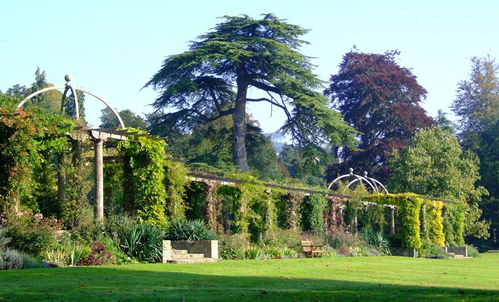 Stretch of lawn, pergoloa with green plants climbing its structure, large trees in the background.