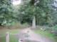 img_6815_small.jpg