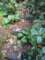 img_6860_small.jpg
