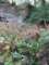 img_6861_small.jpg