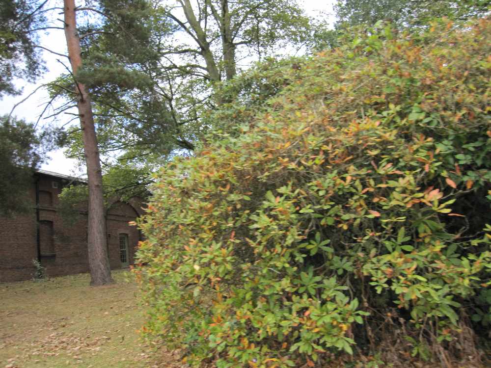 img_6901.jpg