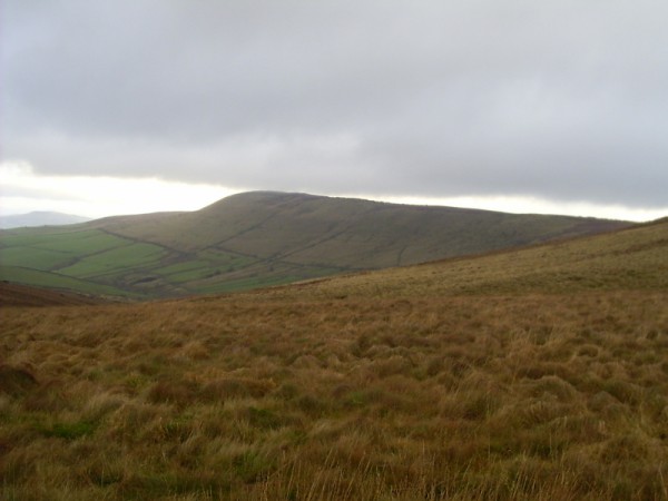 Cats Tor