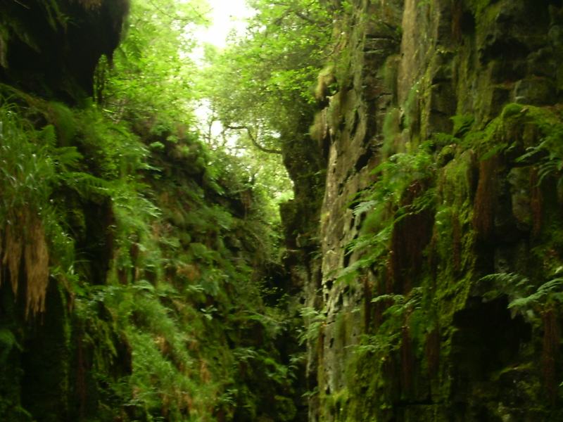 Lud's Church